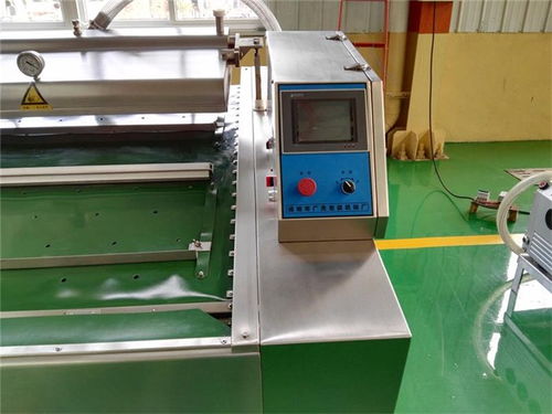 宁夏传送带式真空包装机价格解析与技术咨询指南——以诸城广元机械为例