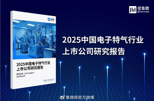 2025中国电子特气行业上市公司研究报告 技术驱动下的竞争格局与市场展望