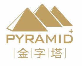 深圳市金字塔健康咨询 专业健康管理技术咨询服务